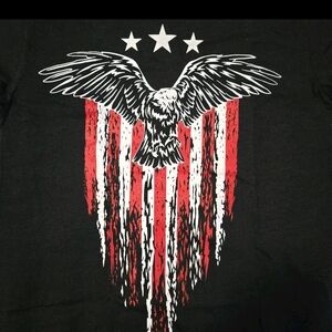 REDCON1 RC1 Small Patriotic Eagle Flag Graphic T-Shirt Military Gym Apparel